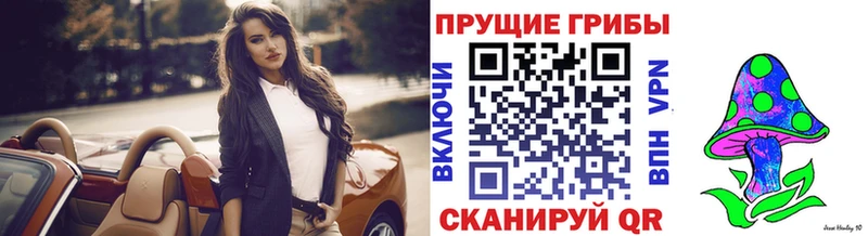 Псилоцибиновые грибы мицелий  Павловск 