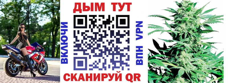 Конопля сатива  Павловск 
